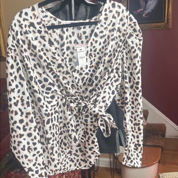 Express Animal Print V-Neck Dress - Picture 4 of 4